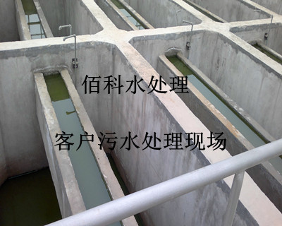北京知名企業購買我廠七水硫酸亞鐵處理鋼鐵廠污水